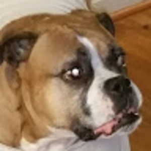 Meet your Posher, Tonia